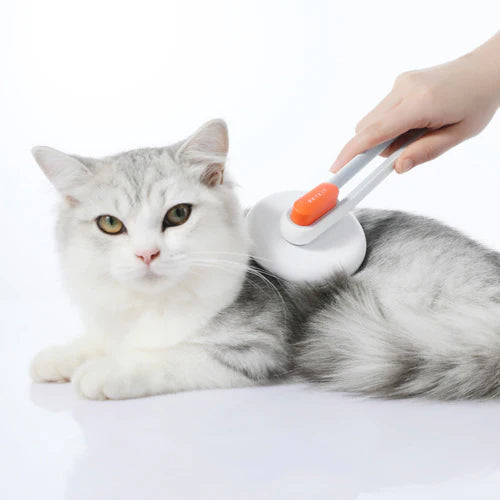 PET GROOMING BRUSH 2